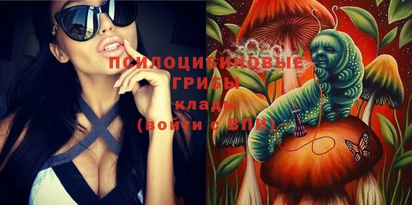 а пвп мука Ессентукская