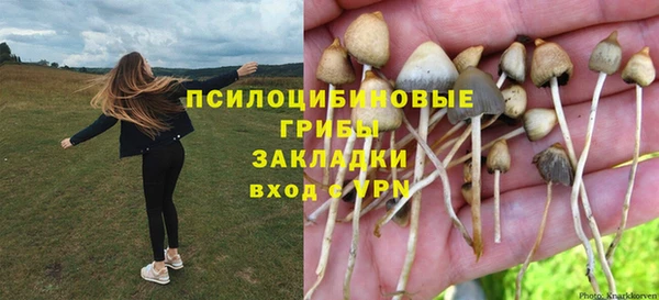 а пвп мука Ессентукская