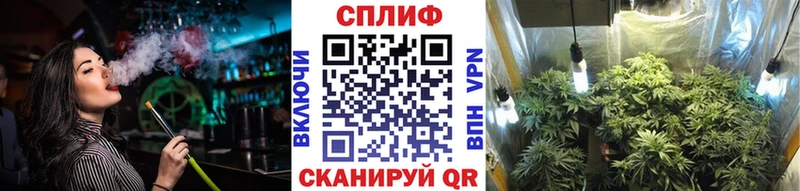 Марихуана планчик  Белая Холуница 