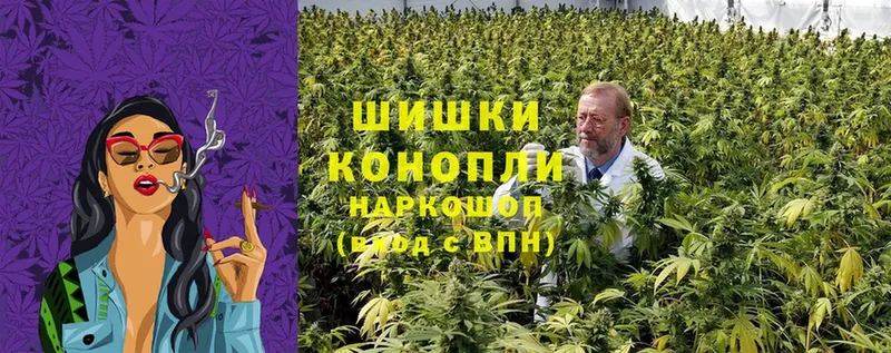 Каннабис SATIVA & INDICA  где купить наркоту  дарк нет клад  Белая Холуница 